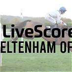 bet on cheltenham